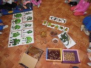 Pokusy a pozorování